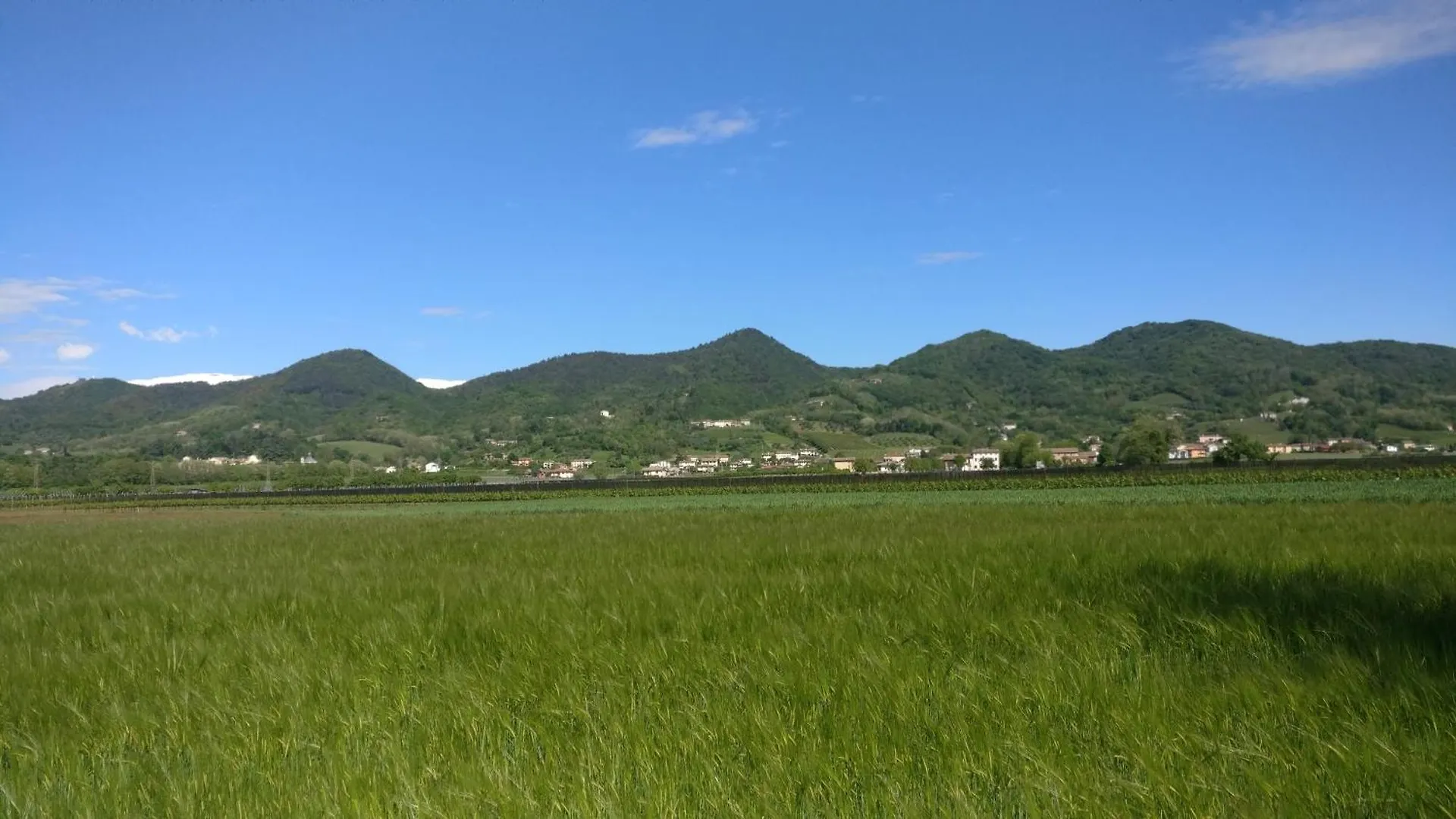 Casa de hóspedes Oleaclub Locazione Turistica Hotel Asolo